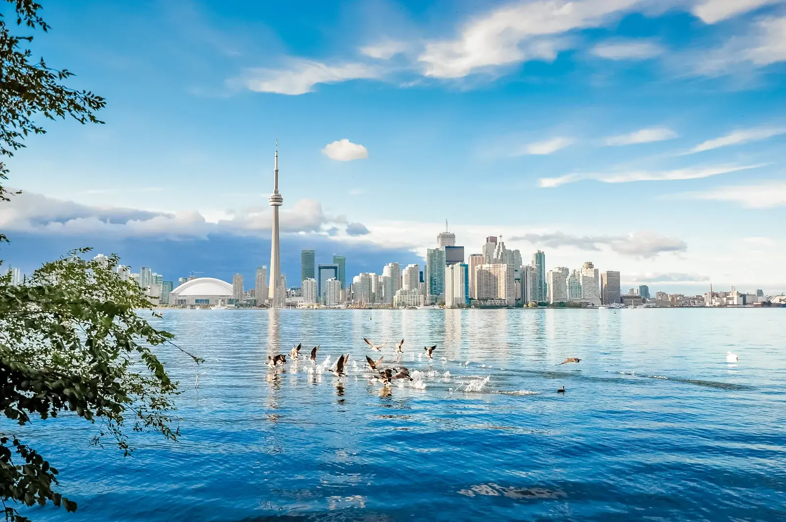 Canada-Toronto-Horizon1 (1)