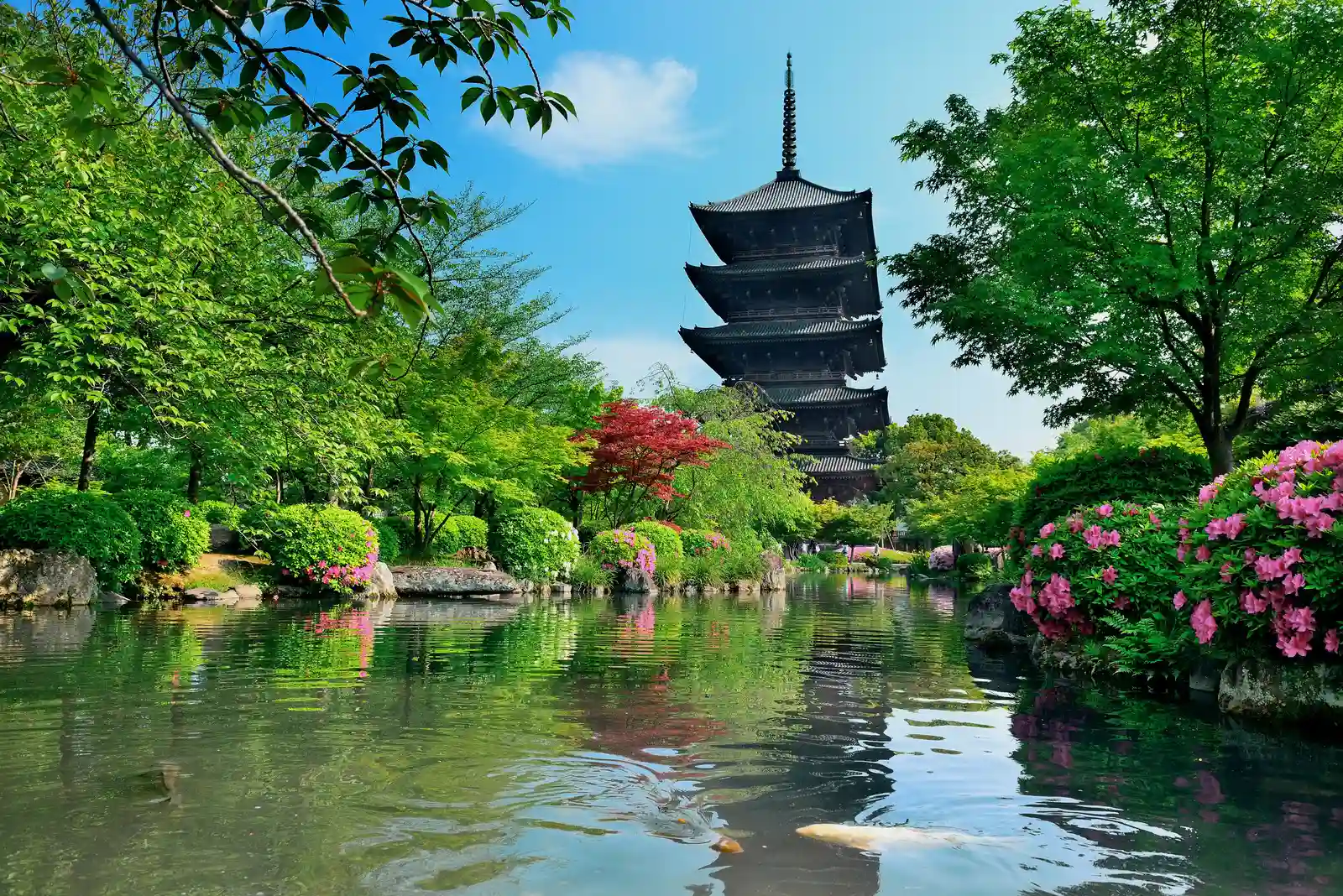 Japon-Kyoto-Temple-Toji