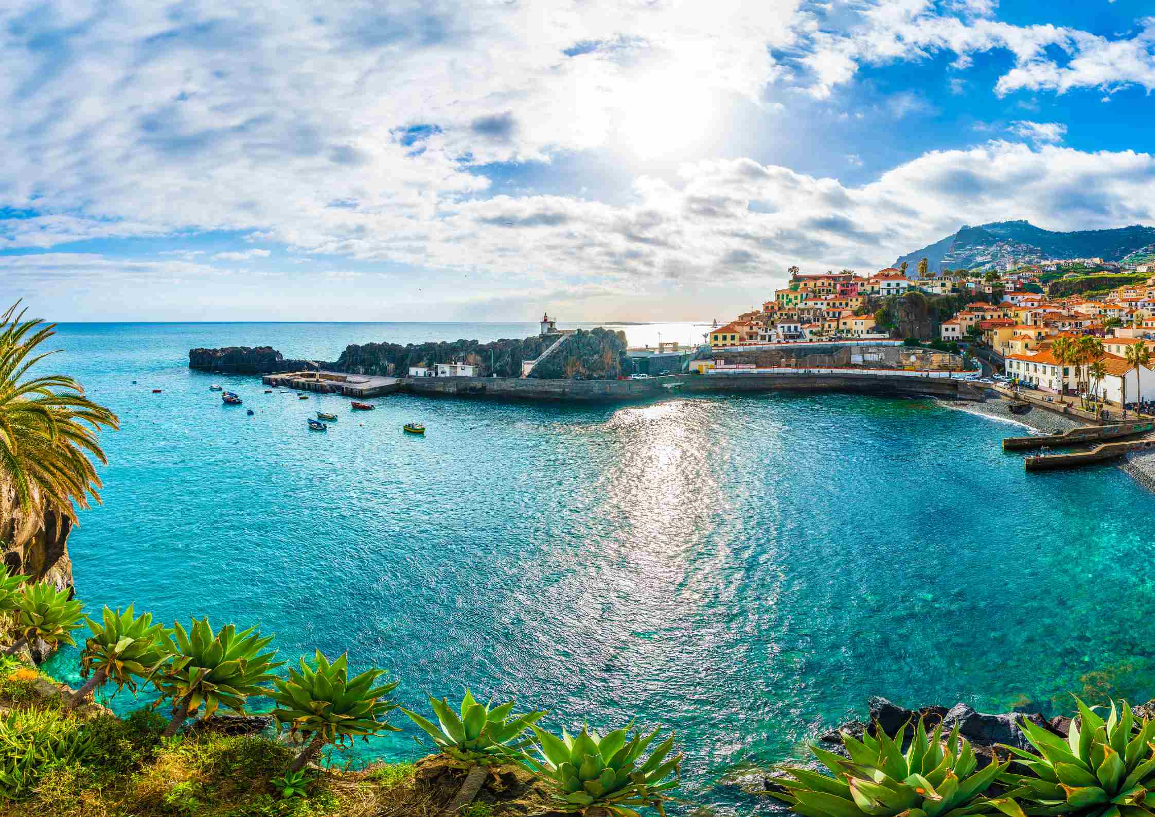 Madère-funchal-port de peche-portugal