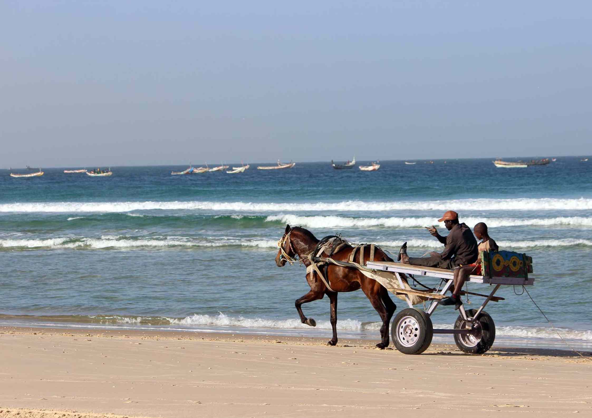 charrette-chevaux-dakar-senegal