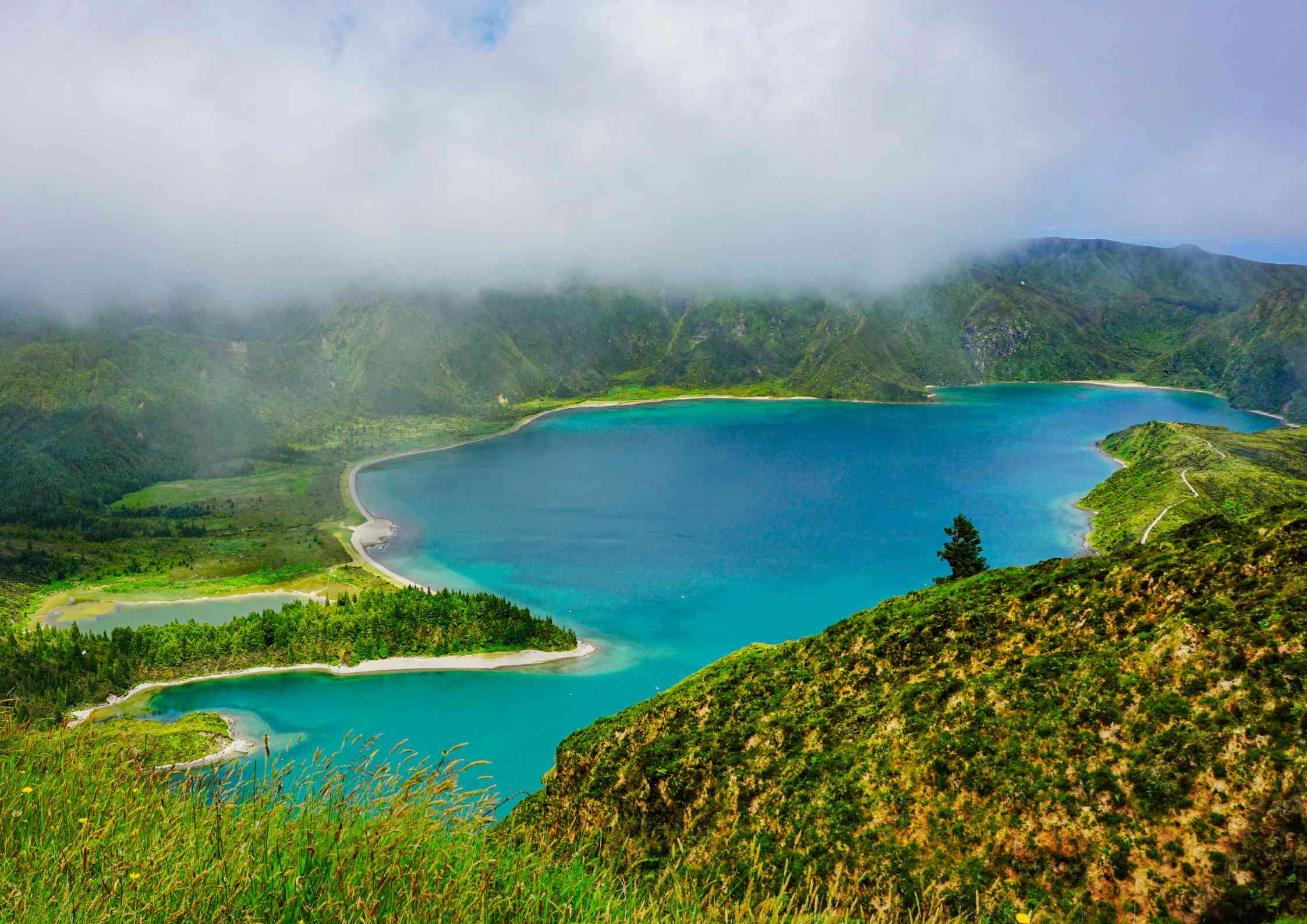 lac de feu-sao miguel-acores-portugal