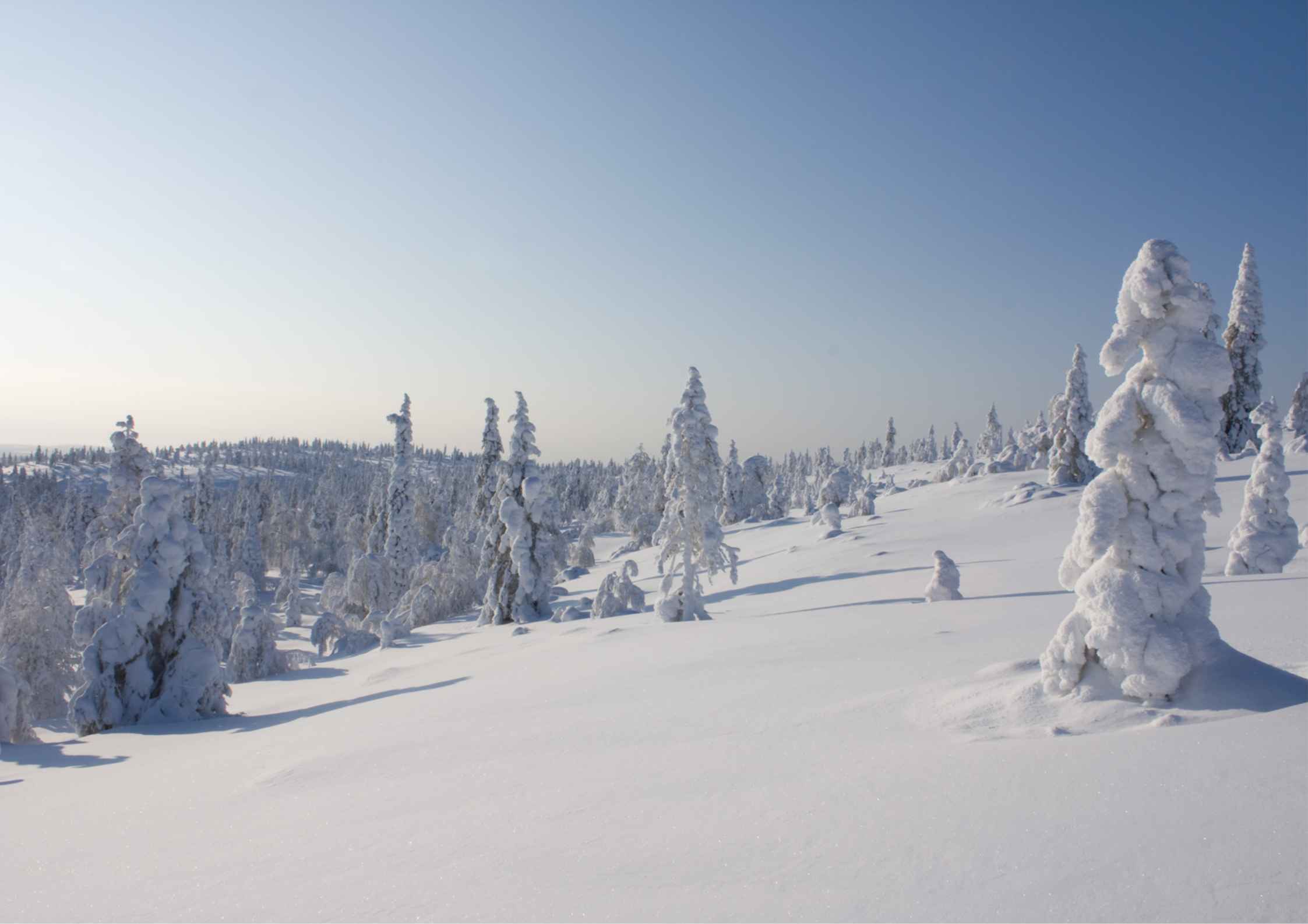 laponie-paysage-enneigé-blanc