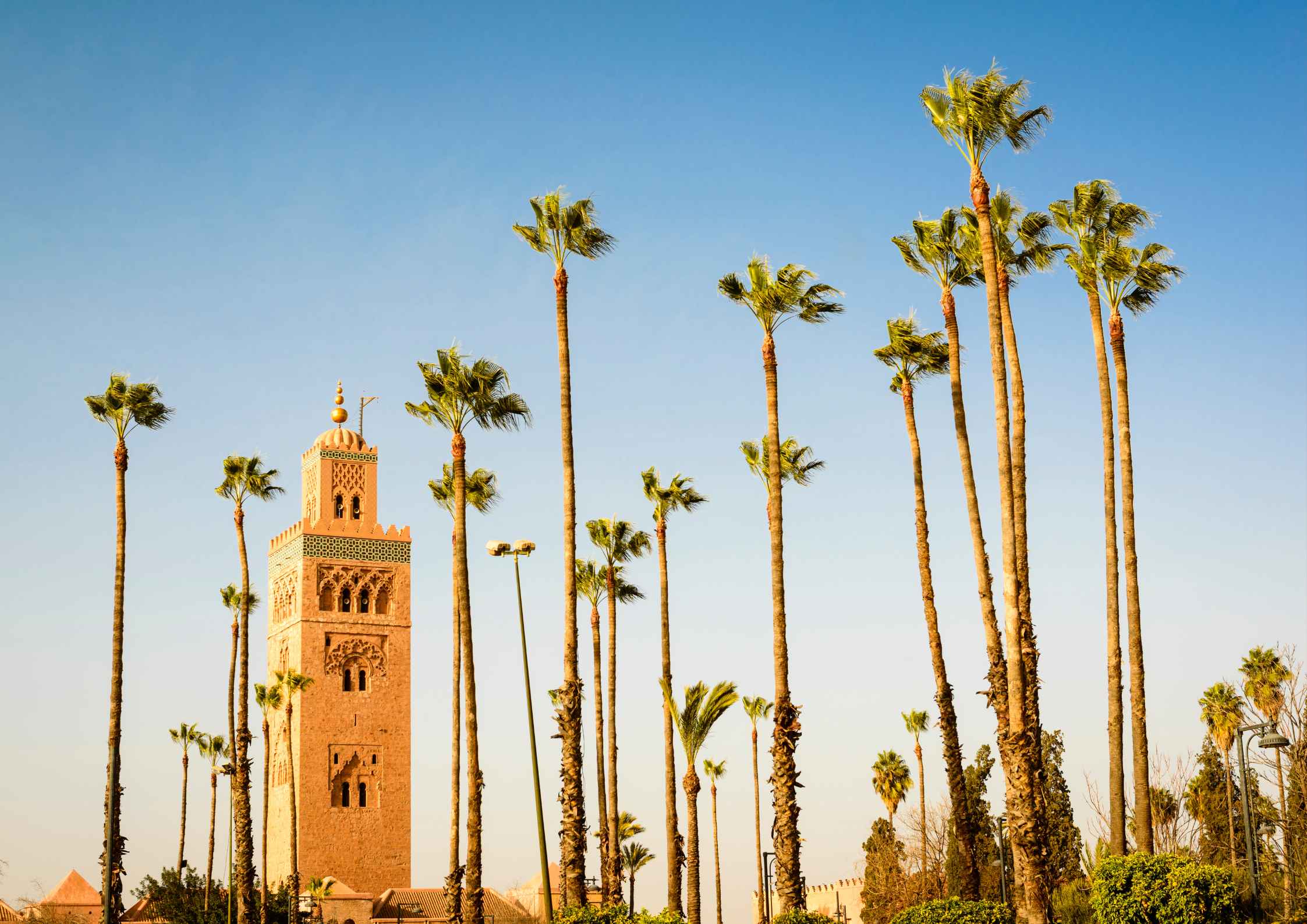 marrakech-koutoubia-palmiers