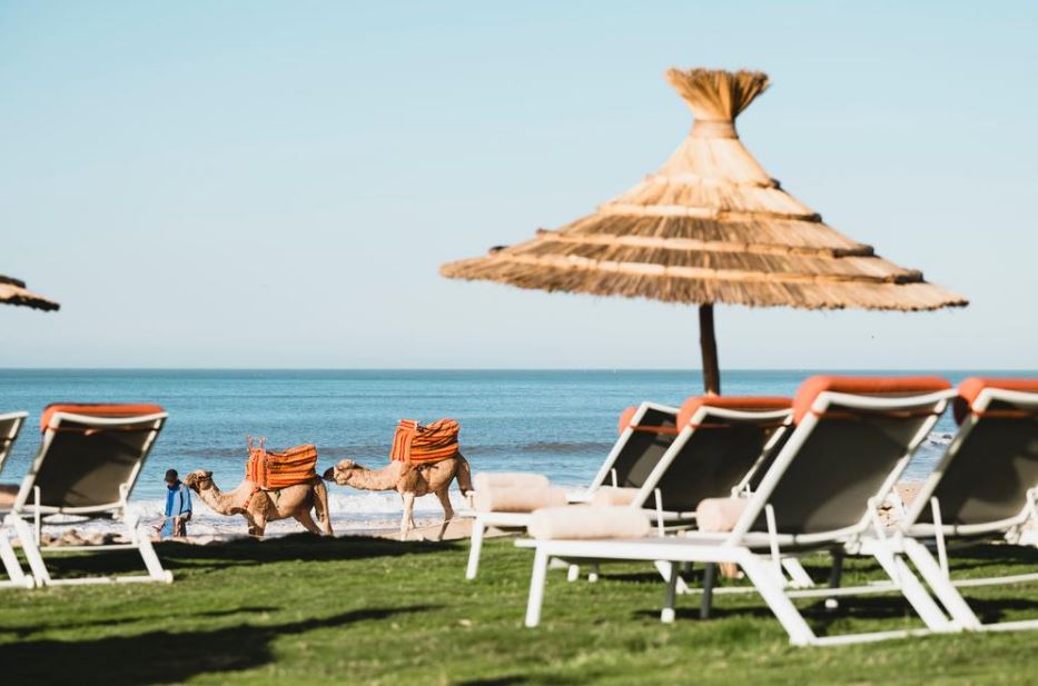 paradis-plage-resort-jardin-plage-dromadaire-transat