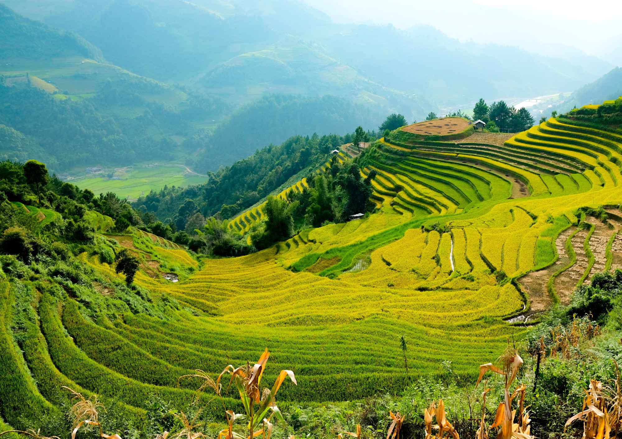 Mù Cang Chải-yen-bai-vietnam