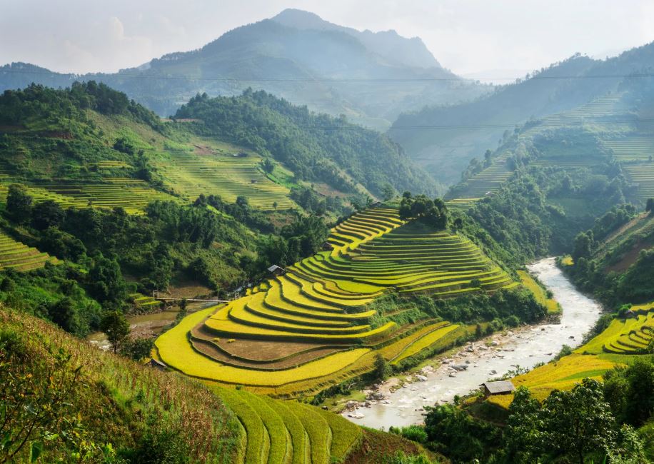 rivière-rizière-sa-pa-vietnam
